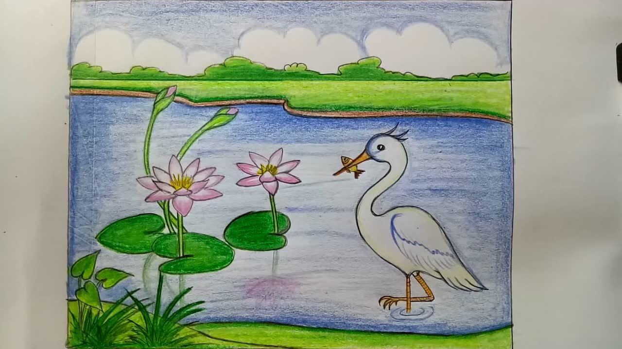 湿地公园绘画简单的图片