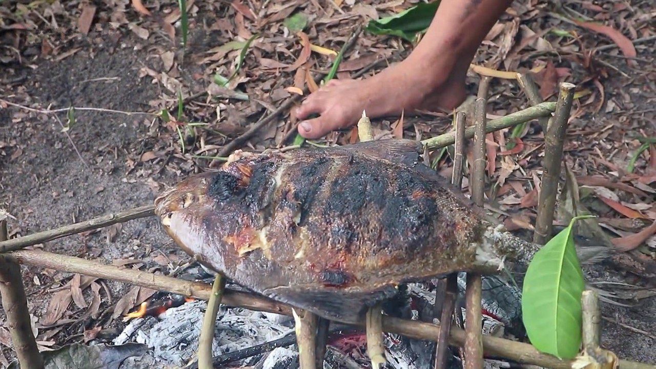 小男孩野外用炭火烤魚吧唧吧唧一口氣吃個精光看的我口水直流