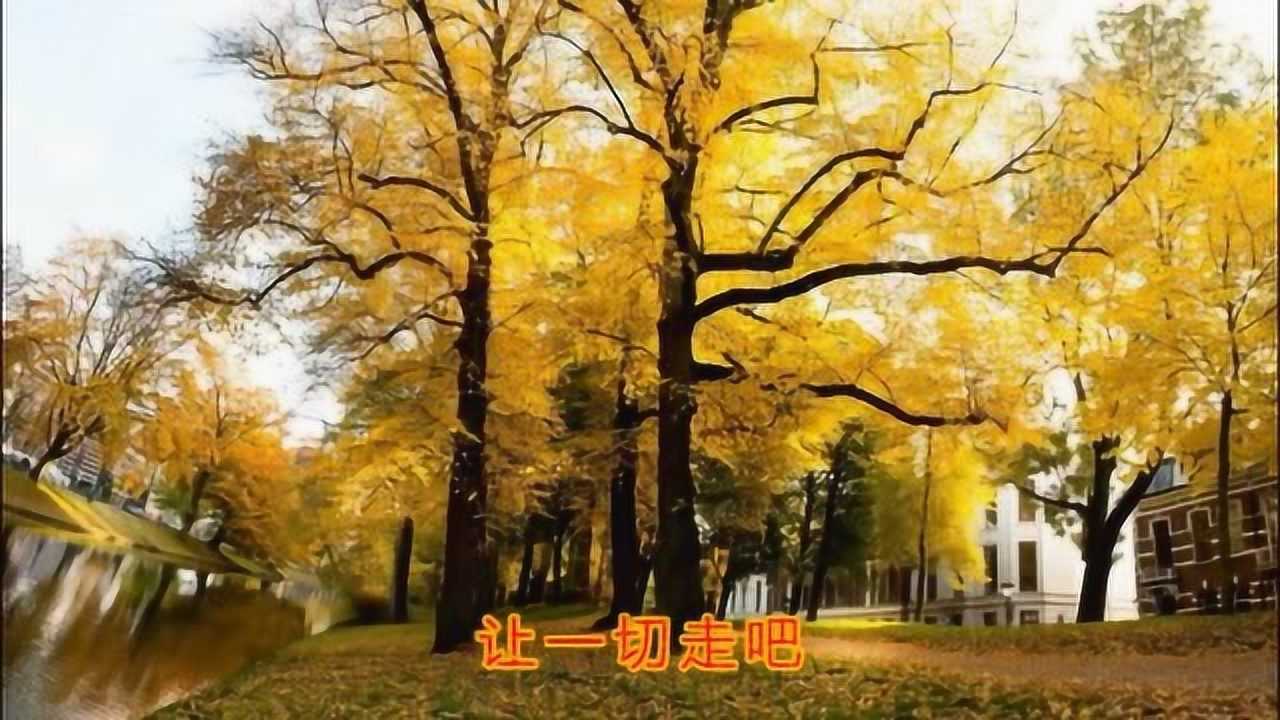 龙梅子这首《让一切都走吧》真好听,值得收藏