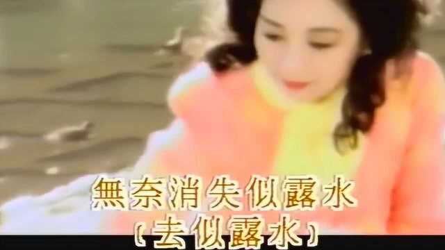 徐小凤:《无奈》 1992