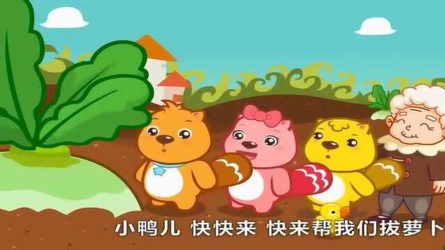 贝瓦儿歌大全:拔萝卜!