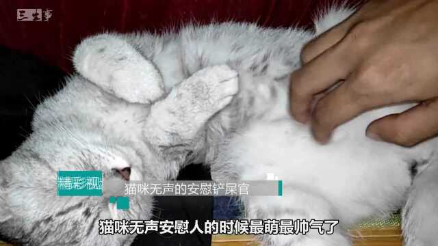 小姐姐抱腿哭泣,一旁的猫咪无声安慰:这咋还哭了呢?我可没惹你吧!