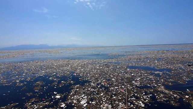 太平洋出现“新大陆”,面积接近140万平方公里,相当于4个日本