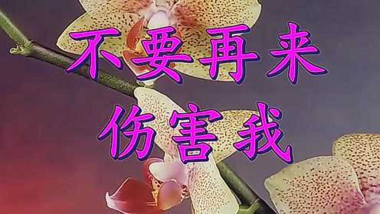不要伤害我 腾讯网