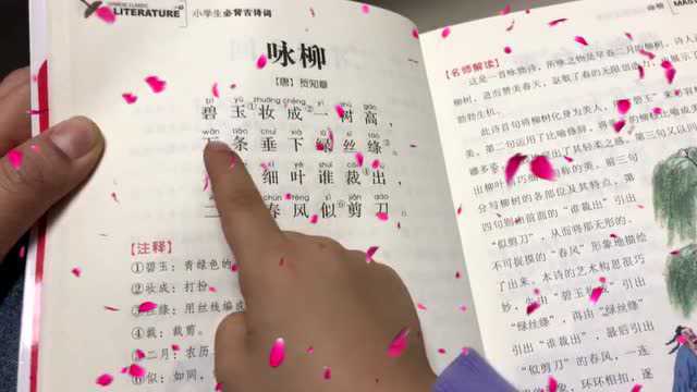 阅读《咏柳》作者贺知章