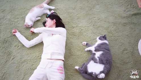 少女养猫成瘾，连睡姿都学猫！