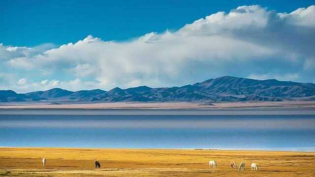 电影《七十七天》带你穿越羌塘无人区,感受那屏住呼吸的美景