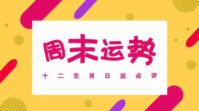 1月12日十二生肖运势:你是正财旺还是偏财旺?