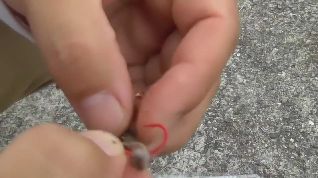 这个挂钩的方法适用于蚯蚓沙蚕想要钓大鱼就要这样挂