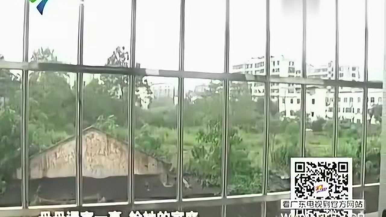 12岁女初中生被性侵，作案现场惨不忍睹，凶手简直禽兽不如！_腾讯视频