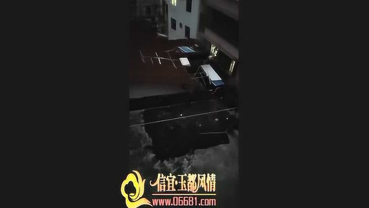 信宜居民狗叫声音高清1080P在线观看平台腾讯视频