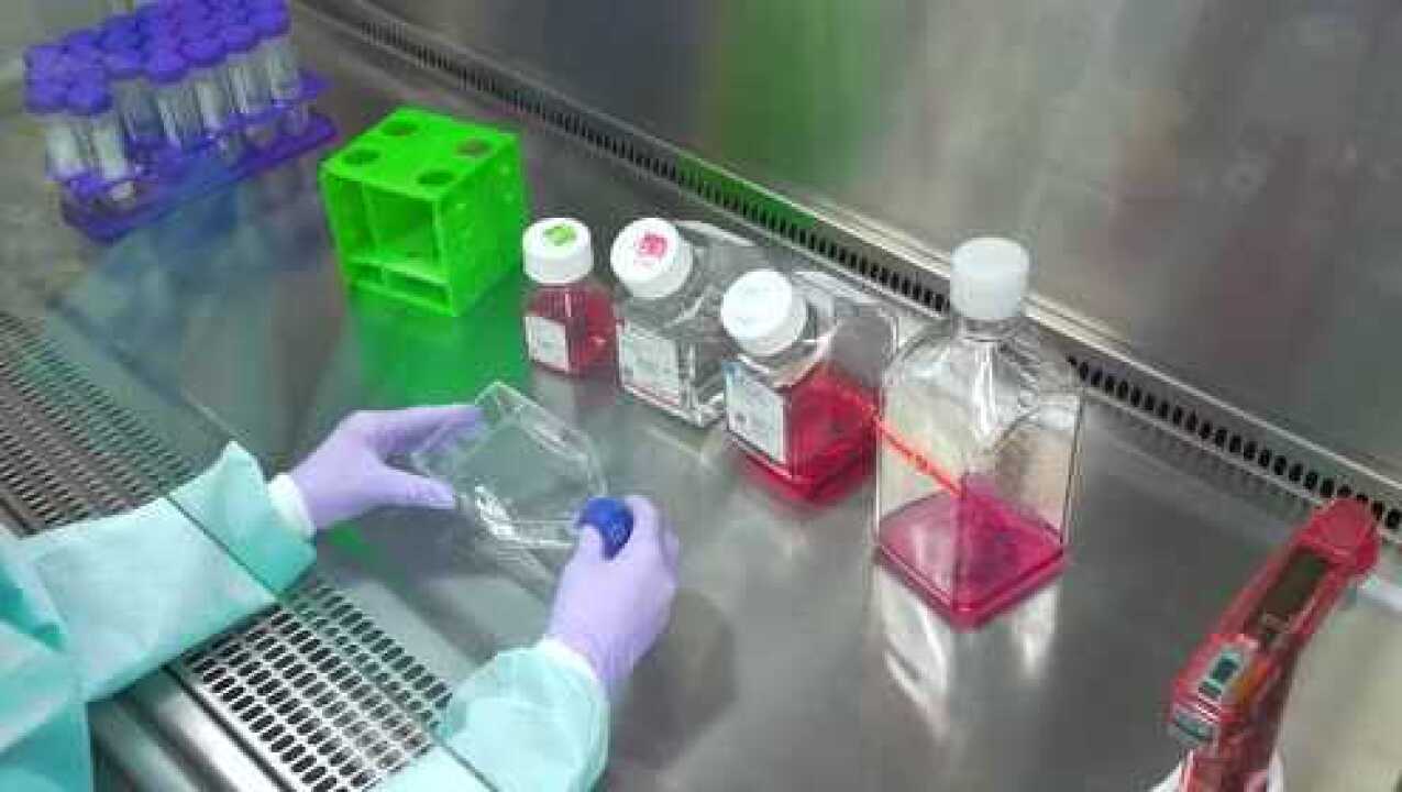 _高清1080P在线观看平台_腾讯视频
