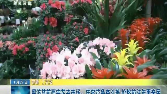 探访节前西安花卉市场:年宵花争奇斗艳 价格较往年更亲民