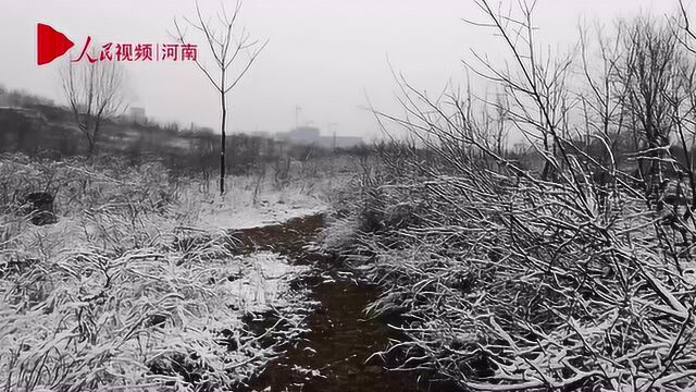 雪山、雾凇 河南焦作云台山现壮美景观