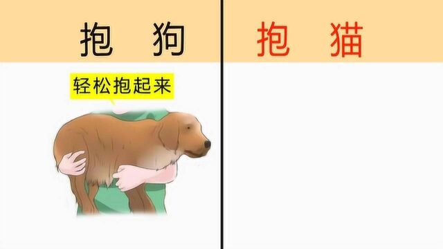 抱狗是这样的,抱猫却是“这样”!爆笑对比,哈哈哈