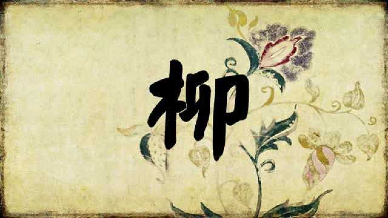 韶华书法工作室-每日一字-“柳”的书写_腾讯视频