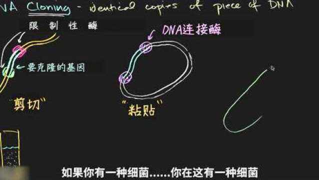 克隆技术最基础的原理介绍,只是细节上并不十分的完整