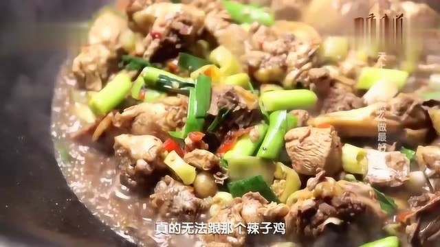 深夜明星美食之一 辣子鸡:龙游麻鸡 只有晚上才能抓