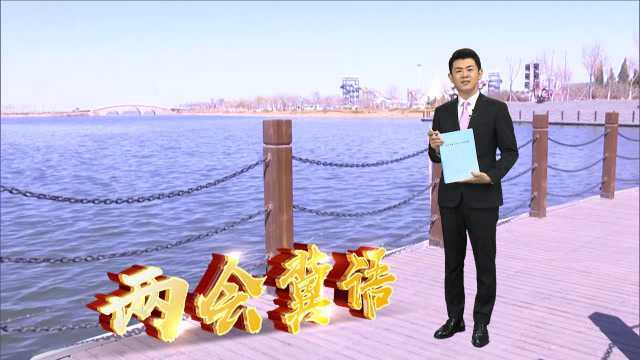 两会冀语:保持战略定力 加强生态文明建设