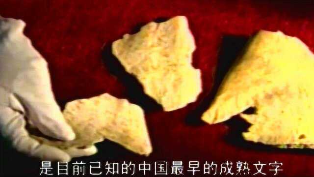 甲骨文的发现,是中国最早的文字资料,展示了中国文字的独特魅力