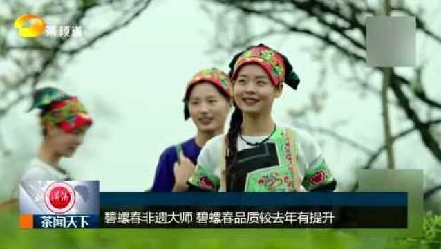 碧螺春非遗大师周永明:今年碧螺春质量更佳!