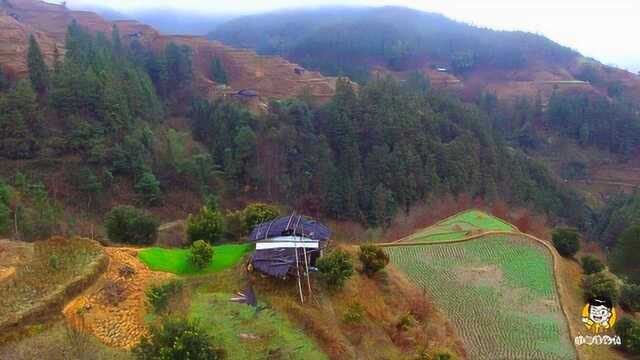 一座山头有一户人家,守着一亩田,过着无数人向往的大山生活