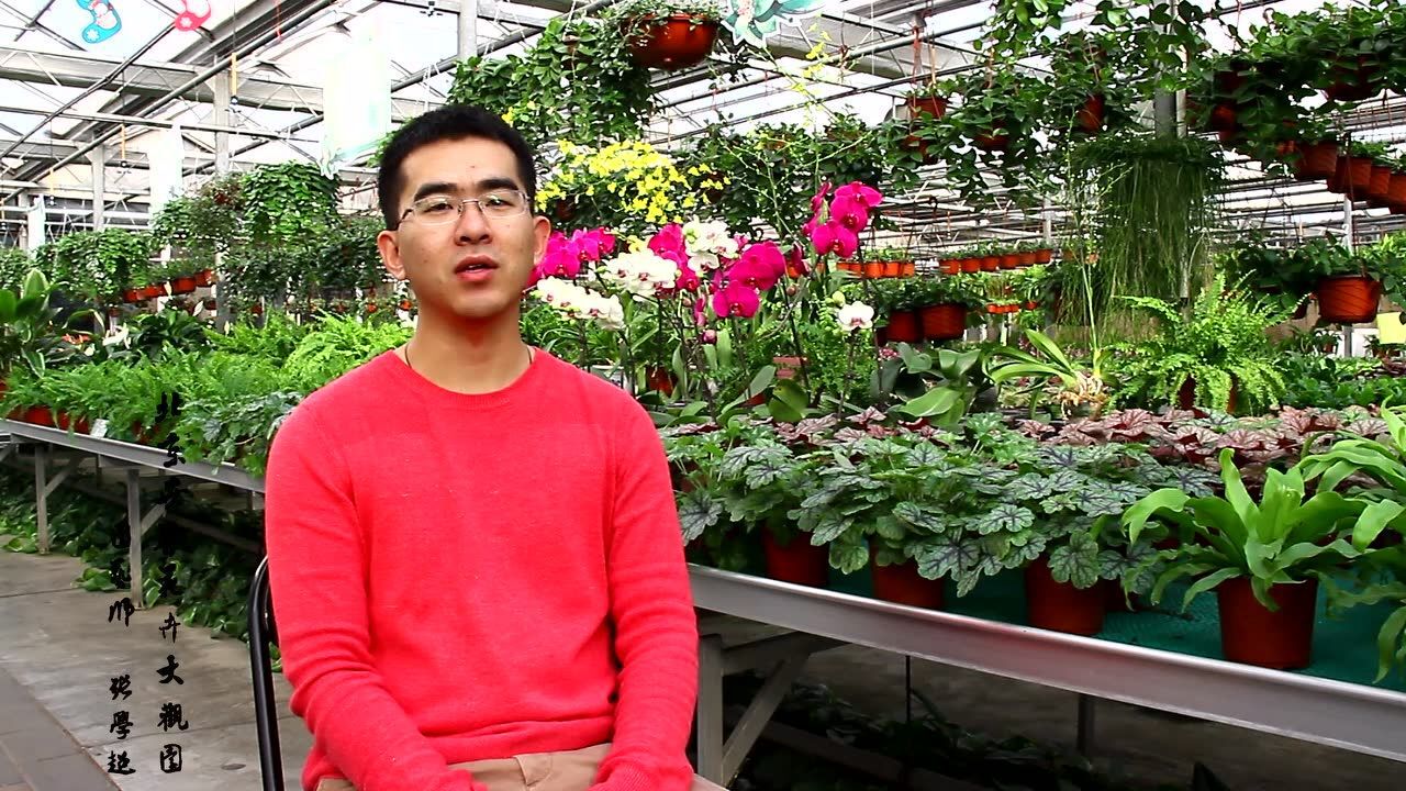 园艺记忆   张恩泽