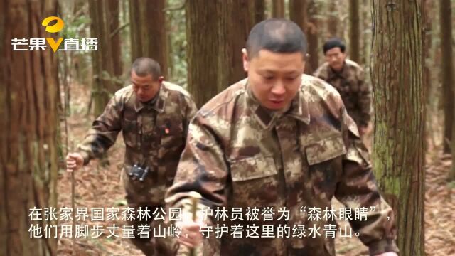 点赞!张家界森林公园里的“超级英雄”