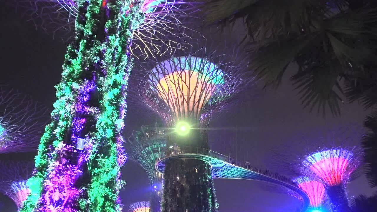 新加坡-滨海湾花园-超级树的灯光秀_高清1080P在线观看平台_腾讯视频