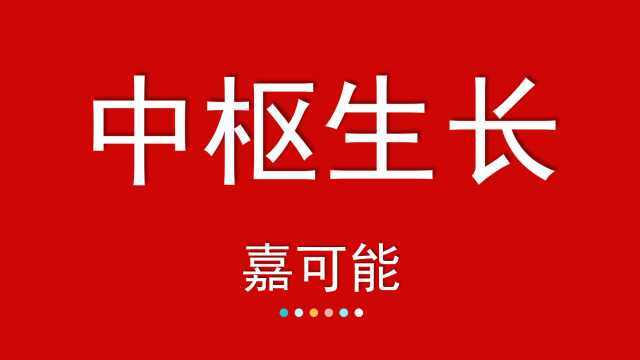 02嘉可能:缠论教程《缠论中枢生长》股票期货缠中说禅108课