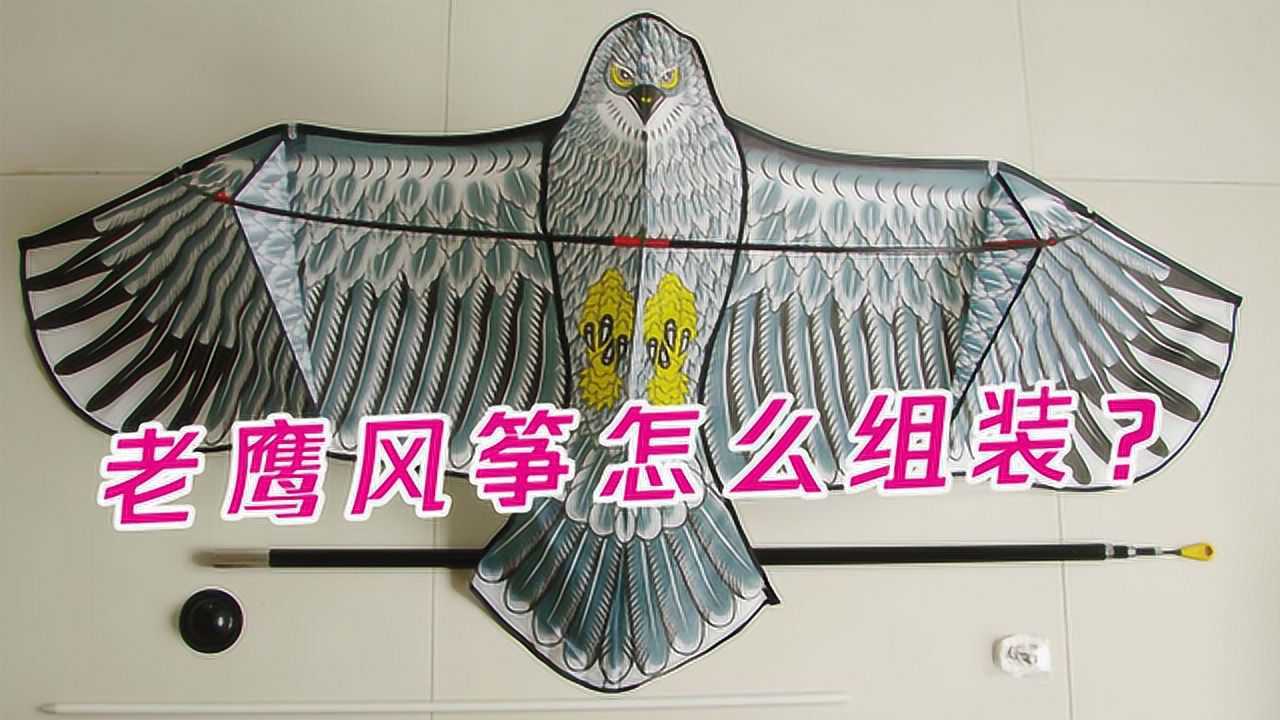 老鹰风筝怎么组装,需注意什么?