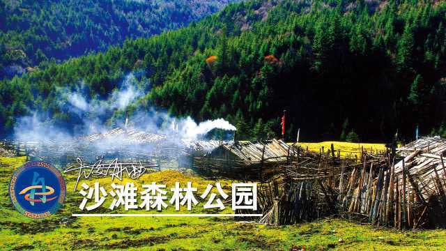 甘南旅游《舟曲沙滩森林公园》