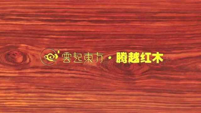 腾越红木知识小课堂使用红木家具的注意事项