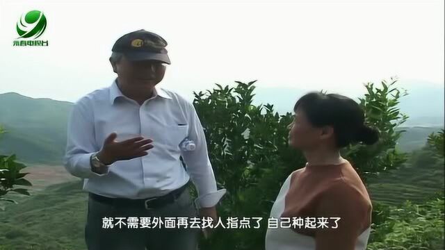 芦柑专家深入果园考察指导