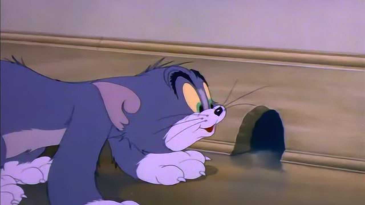 猫和老鼠:汤姆在杰瑞的家门口等他出来