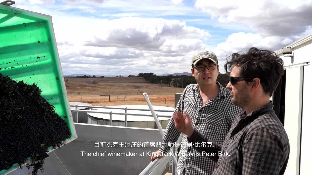 澳洲king jack酒庄