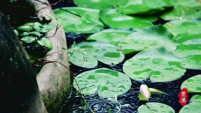 禅意丨云溪酒店丨张家界民宿客栈概念展示