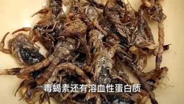 山东名菜:炸蝎子,有胆你就吃!