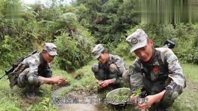 部队的伙食到底有多好?看完口水流了一地!网友:我想去当兵!