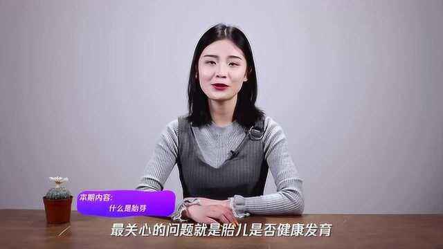 什么是胎芽?孕妈妈们知道吗