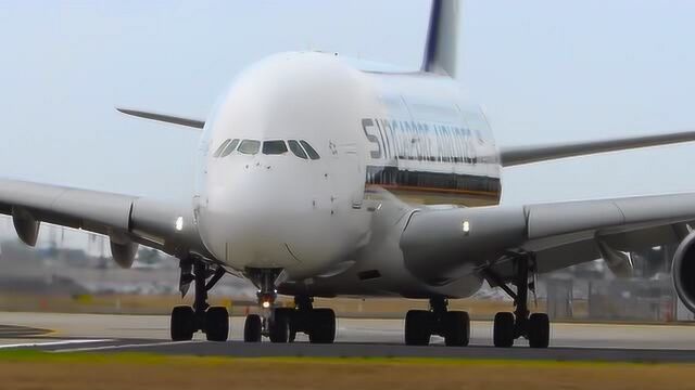 A380和A320对比之下,A380还真大,像个胖子