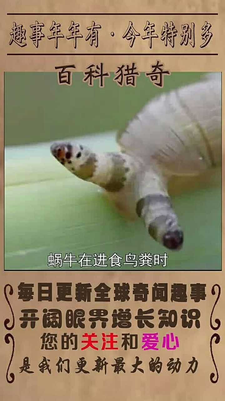 最恐怖的寄生虫之双盘吸虫
