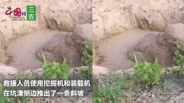 6月4日中国网三农热点新闻盘点