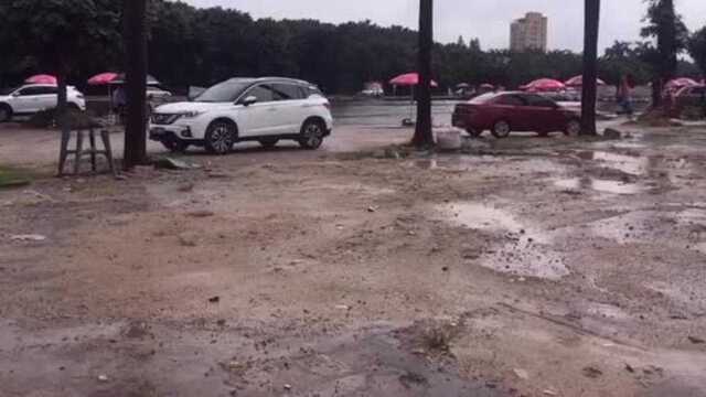 深圳沙井“海上田园”,雨中垂钓,有大货上钩.