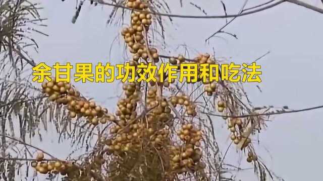 余甘果的功效作用和吃法