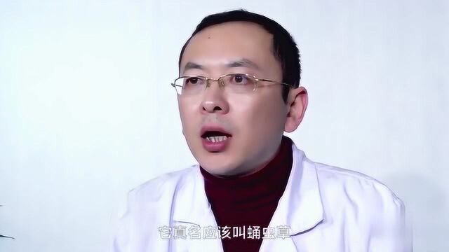 虫草有哪些功效与作用禁忌?