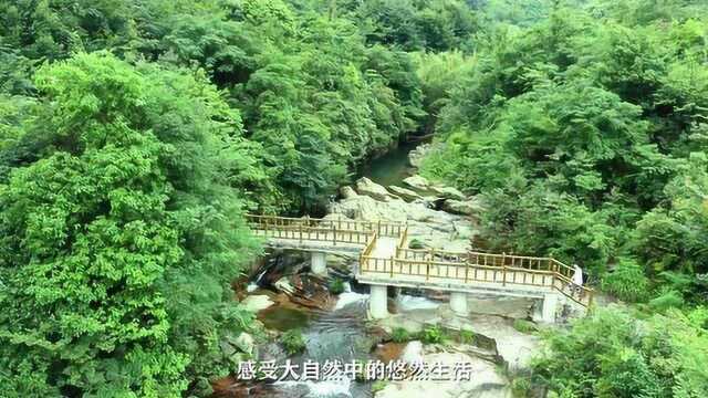 江河水养生足疗视频