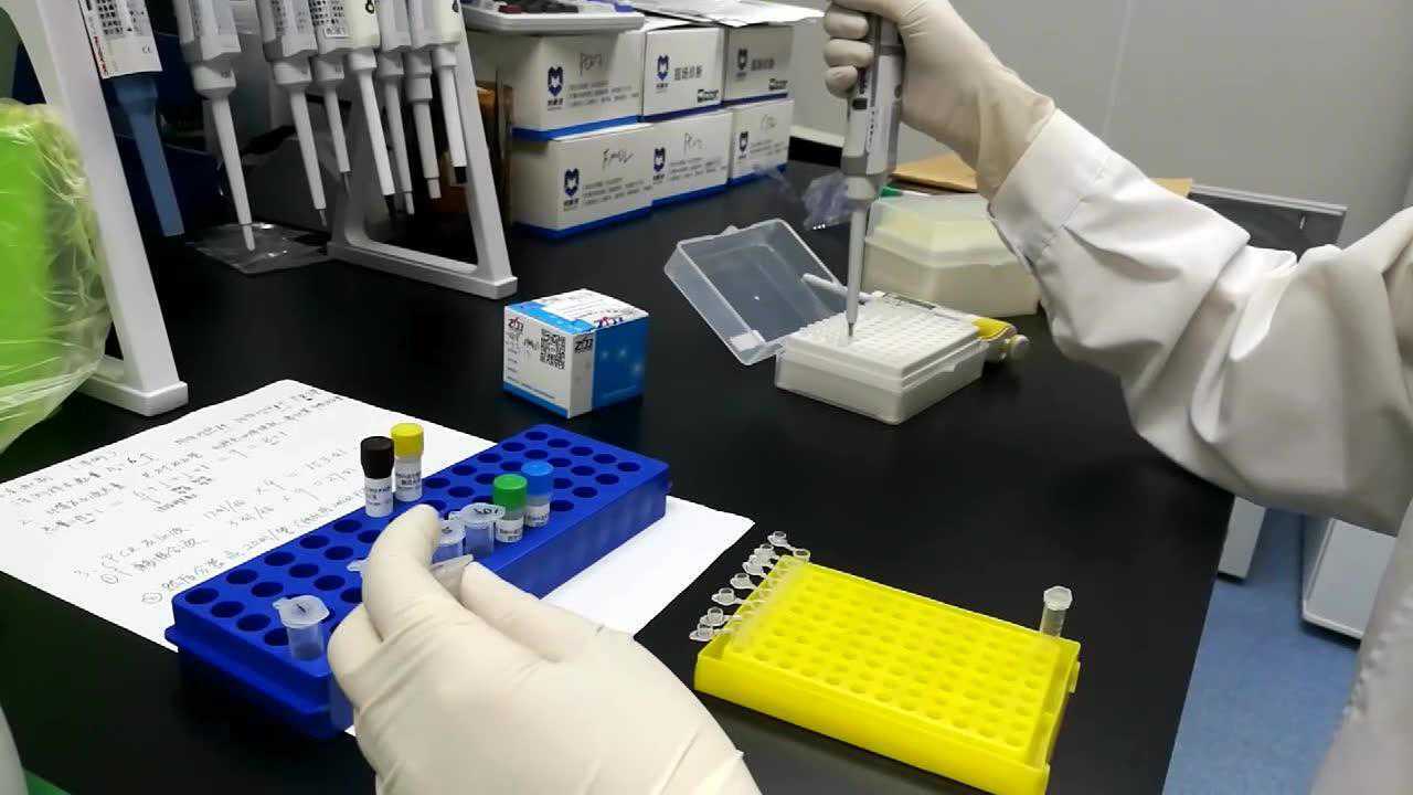 PCR反应体系配置_腾讯视频