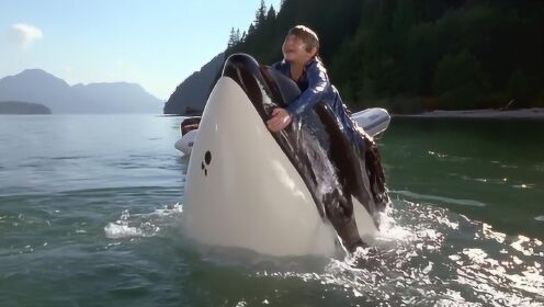 男孩驯服了一头鲸鱼，无聊之时，便骑着它在海里玩耍