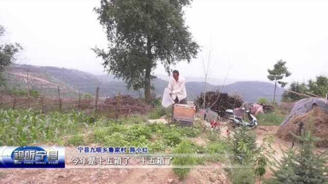 视听宁县:党建引领脱贫路